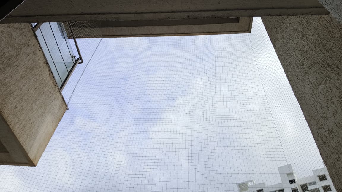 Apartment Bird Netting Work