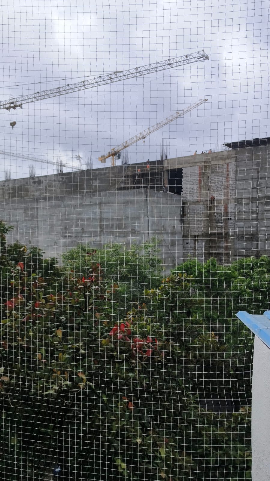 Residential Netting Installation